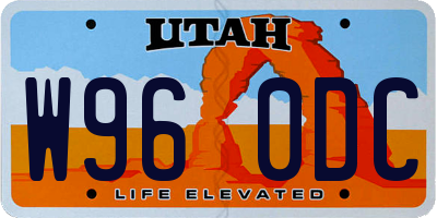 UT license plate W960DC