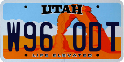 UT license plate W960DT