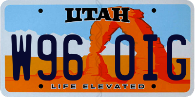 UT license plate W960IG