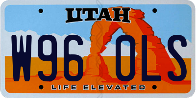 UT license plate W960LS