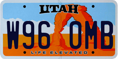 UT license plate W960MB