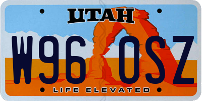 UT license plate W960SZ