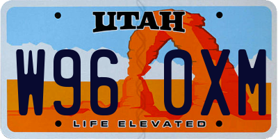 UT license plate W960XM
