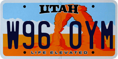 UT license plate W960YM