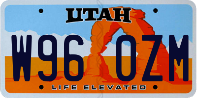 UT license plate W960ZM