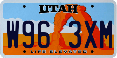UT license plate W963XM