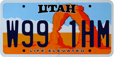UT license plate W991HM