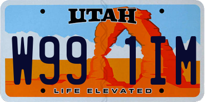 UT license plate W991IM