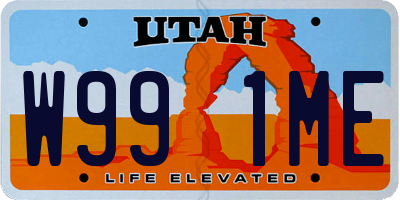 UT license plate W991ME