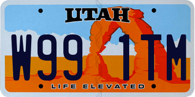 UT license plate W991TM