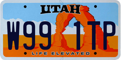 UT license plate W991TP