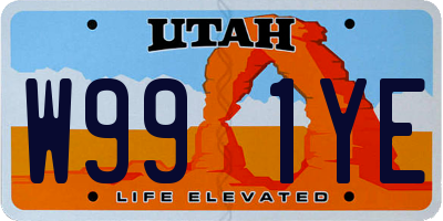 UT license plate W991YE