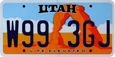 UT license plate W993GJ