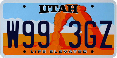 UT license plate W993GZ