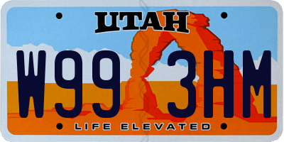UT license plate W993HM