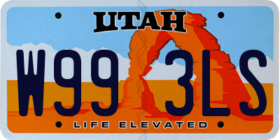 UT license plate W993LS