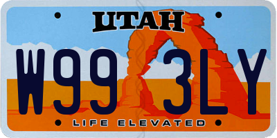 UT license plate W993LY
