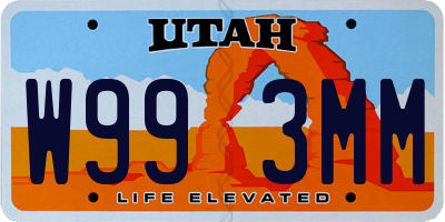 UT license plate W993MM