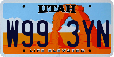 UT license plate W993YN