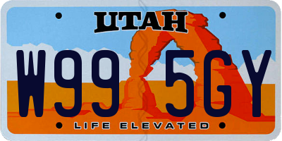 UT license plate W995GY