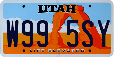 UT license plate W995SY