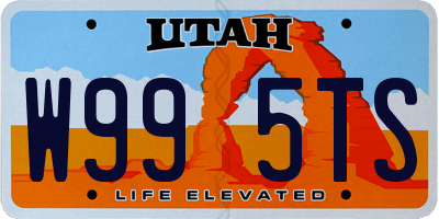 UT license plate W995TS