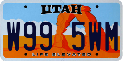 UT license plate W995WM