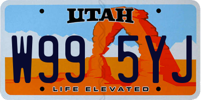 UT license plate W995YJ