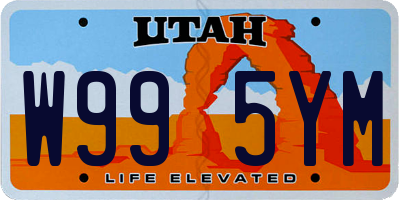 UT license plate W995YM