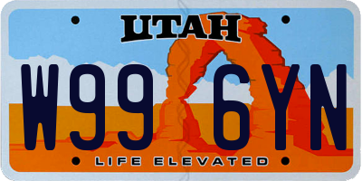UT license plate W996YN