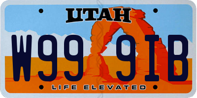 UT license plate W999IB