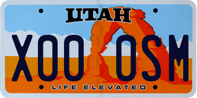 UT license plate X000SM