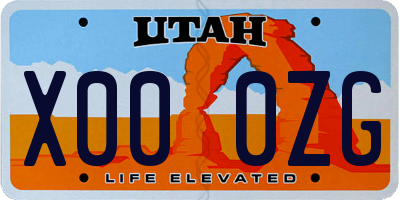 UT license plate X000ZG