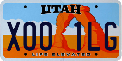 UT license plate X001LG