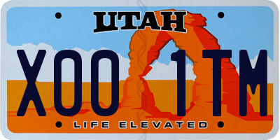 UT license plate X001TM