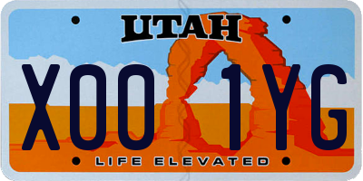 UT license plate X001YG