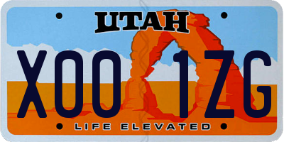 UT license plate X001ZG