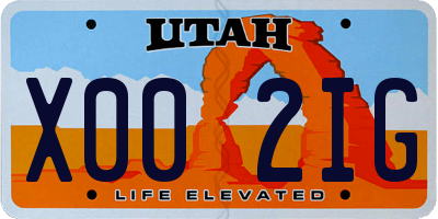UT license plate X002IG
