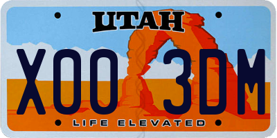 UT license plate X003DM