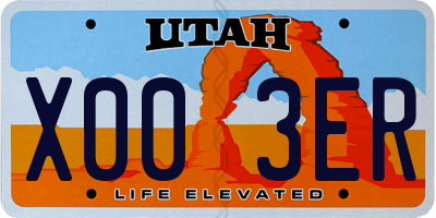 UT license plate X003ER