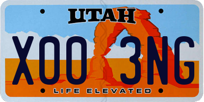 UT license plate X003NG