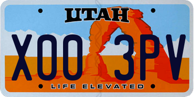 UT license plate X003PV