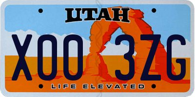 UT license plate X003ZG