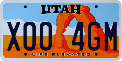 UT license plate X004GM