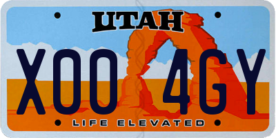 UT license plate X004GY
