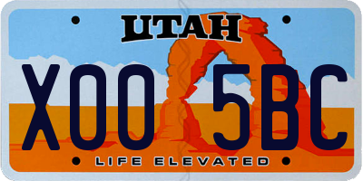 UT license plate X005BC