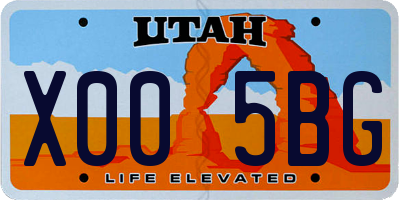 UT license plate X005BG