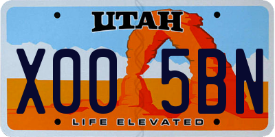 UT license plate X005BN