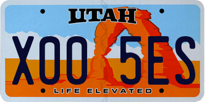 UT license plate X005ES
