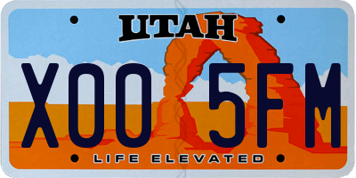 UT license plate X005FM